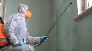 Trusted Fort Myers, FL Mold Removal Services Experts